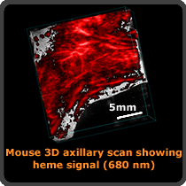 Photoacoustic Mode | FUJIFILM VisualSonics