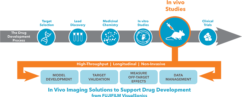 UHF Ultrasound and PA in the Drug Discovery Process.png