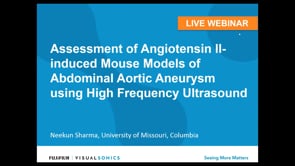 April 2019: Assessment of Angiotensin II-induced Mouse Models of Abdominal Aortic Aneurysm using High Frequency Ultrasound