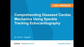 March 2019: Comprehending Diseased Cardiac Mechanics Using Speckle Tracking Echocardiography