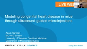 March 2022: Modeling Congenital Heart Disease in Mice Through Ultrasound-Guided Microinjections