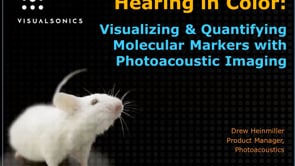 June 2015: Hearing in Color: Visualizing & Quantifying Molecular Markers with Photoacoustic Imaging