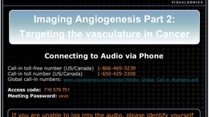 April 2014: Imaging Angiogenesis - Targeting the Vasculature in Cancer