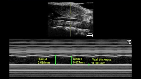 Vevo F2 For Small To Larger Animals | FUJIFILM VisualSonics