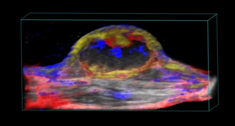 Vevo F2 LAZR-X Multi-Modal Imaging | FUJIFILM VisualSonics