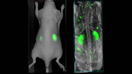 Fluorescent vs Photoacoustic Contrast Agents