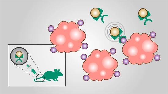 Theranostics uses specialized agents that are created and targeted to a specific ligand on a diseased cell. They are injected intravenously and travel to the desired location.