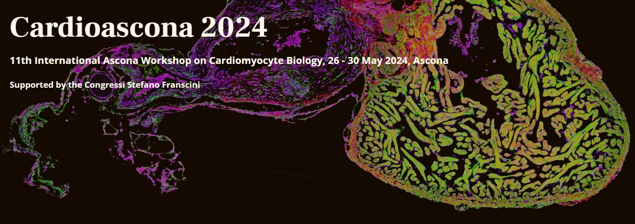 Logo cardioascona conference 2024