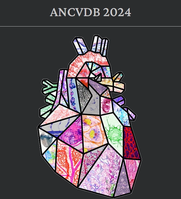 ANCVDB 2024 poster